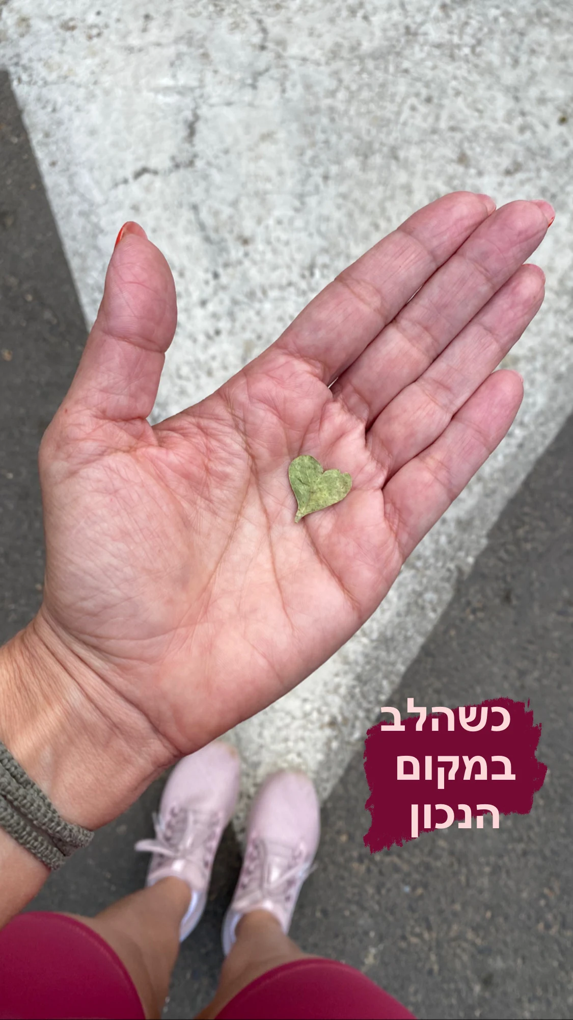פביאן רביניאן